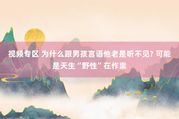 视频专区 为什么跟男孩言语他老是听不见? 可能是天生“野性”在作祟