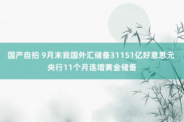 国产自拍 9月末我国外汇储备31151亿好意思元 央行11个月连增黄金储备