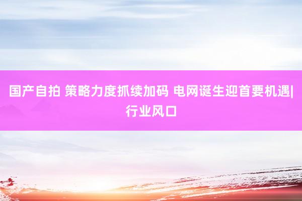 国产自拍 策略力度抓续加码 电网诞生迎首要机遇|行业风口