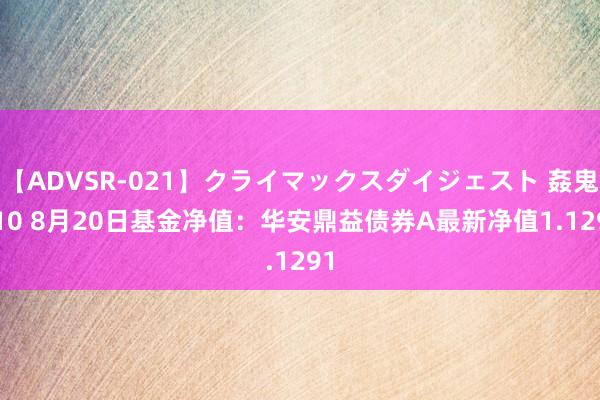 【ADVSR-021】クライマックスダイジェスト 姦鬼 ’10 8月20日基金净值：华安鼎益债券A最新净值1.1291