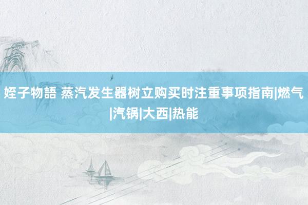 姪子物語 蒸汽发生器树立购买时注重事项指南|燃气|汽锅|大西|热能