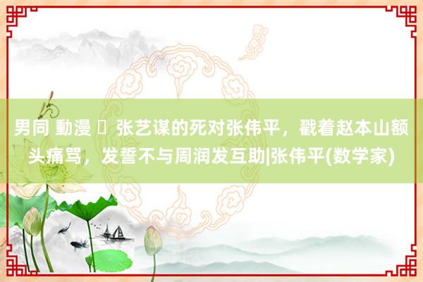 男同 動漫 ​张艺谋的死对张伟平，戳着赵本山额头痛骂，发誓不与周润发互助|张伟平(数学家)