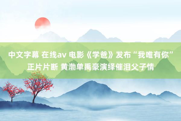 中文字幕 在线av 电影《学爸》发布“我唯有你”正片片断 黄渤单禹豪演绎催泪父子情