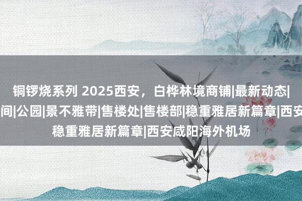 铜锣烧系列 2025西安，白桦林境商铺|最新动态|里面优惠|样板间|公园|景不雅带|售楼处|售楼部|稳重雅居新篇章|西安咸阳海外机场