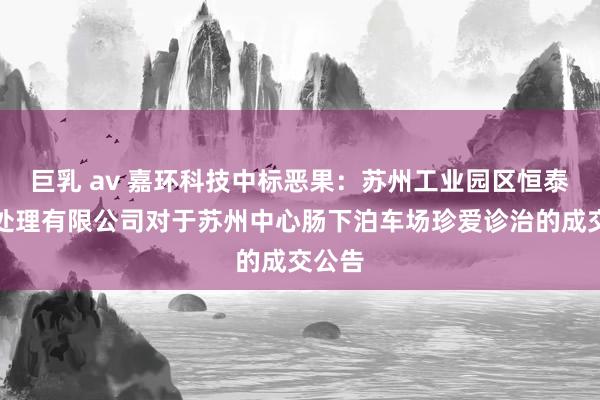 巨乳 av 嘉环科技中标恶果：苏州工业园区恒泰交易处理有限公司对于苏州中心肠下泊车场珍爱诊治的成交公告