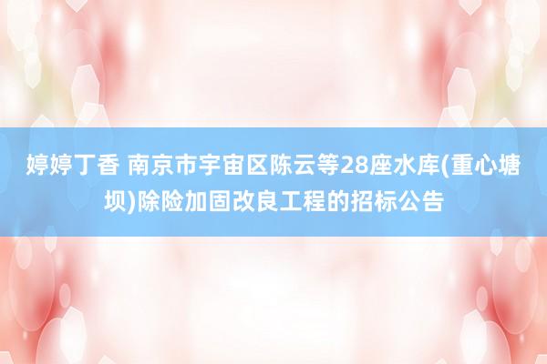 婷婷丁香 南京市宇宙区陈云等28座水库(重心塘坝)除险加固改良工程的招标公告