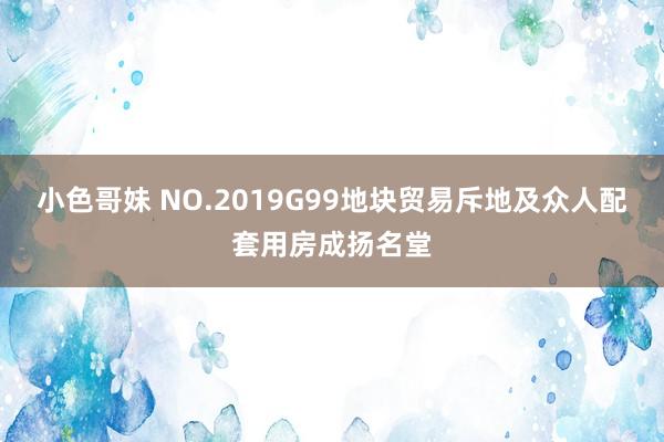 小色哥妹 NO.2019G99地块贸易斥地及众人配套用房成扬名堂