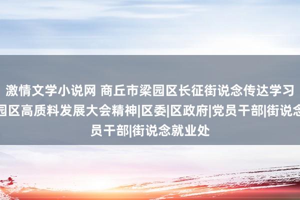 激情文学小说网 商丘市梁园区长征街说念传达学习贯彻梁园区高质料发展大会精神|区委|区政府|党员干部|街说念就业处