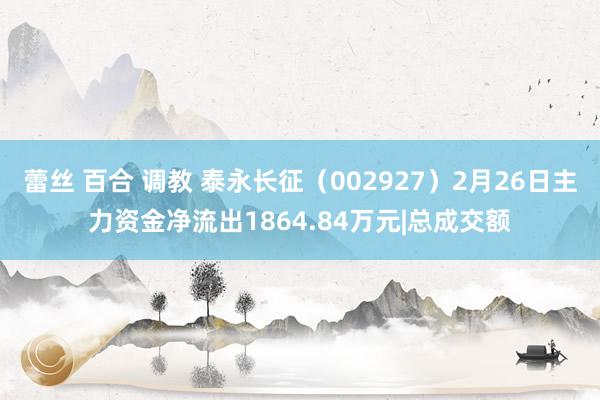 蕾丝 百合 调教 泰永长征（002927）2月26日主力资金净流出1864.84万元|总成交额