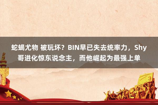 蛇蝎尤物 被玩坏？BIN早已失去统率力，Shy哥进化惊东说念主，而他崛起为最强上单