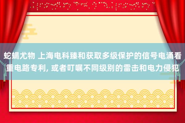 蛇蝎尤物 上海电科臻和获取多级保护的信号电涌看重电路专利， 或者叮嘱不同级别的雷击和电力侵犯