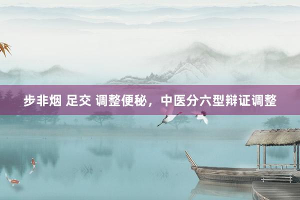 步非烟 足交 调整便秘，中医分六型辩证调整