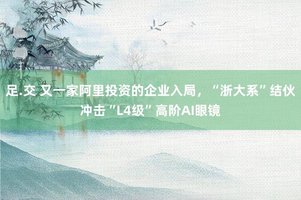 足.交 又一家阿里投资的企业入局，“浙大系”结伙冲击“L4级”高阶AI眼镜