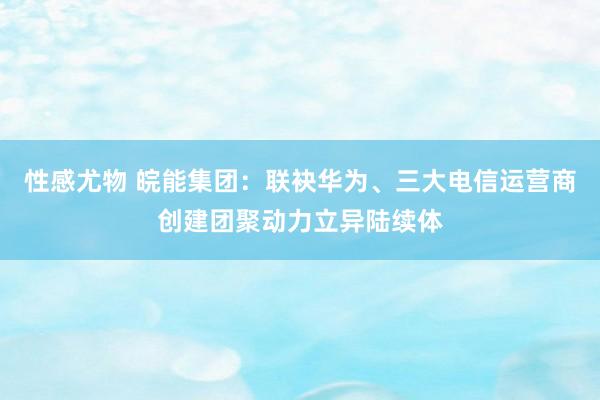 性感尤物 皖能集团：联袂华为、三大电信运营商创建团聚动力立异陆续体