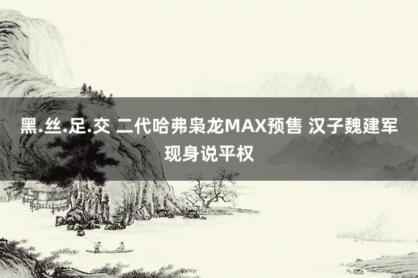 黑.丝.足.交 二代哈弗枭龙MAX预售 汉子魏建军现身说平权